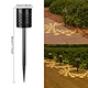 Solar Light